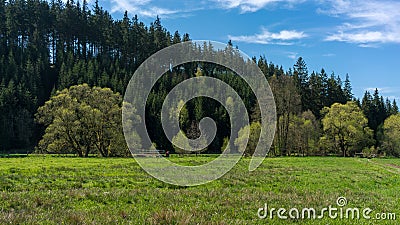 Forest landscape, nature of the Elb Sandstone Mountains Stock Photo