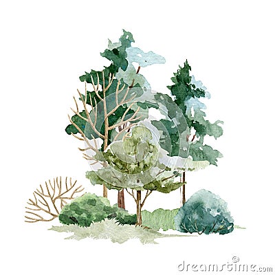 Forest landscape scene. Watercolor illustration. Hand drawn trees, bush and meadow grass element. Wild landscape. Park Cartoon Illustration