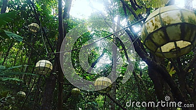 Forest lanterns Stock Photo