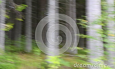 Impressionistic forest Stock Photo