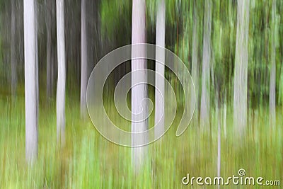 Impressionistic forest Stock Photo