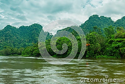 Forest. Massive landscape with spruce forest. March 21. 2024. International Day of Forests. Stock Photo