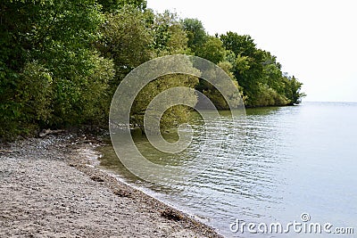 Forest meeting beach along Water’s Edge Trail Stock Photo