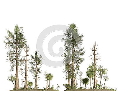 Forest of the mesozoic era isolated on white background 3D illustration Cartoon Illustration