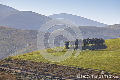 Forest mountain landscape in Asturias. Tourism in Spain. Horizontal Stock Photo