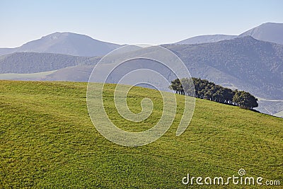 Forest mountain landscape in Asturias. Nature tourism in Spain Stock Photo