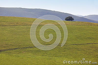 Forest mountain landscape in Asturias. Nature tourism in Spain Stock Photo