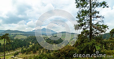 forest, mountain range of volcano nevado de Toluca Stock Photo