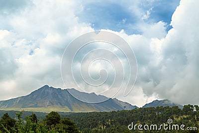 forest, mountain range of volcano nevado de Toluca Stock Photo