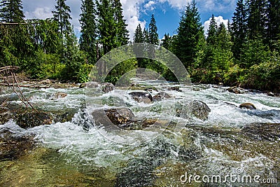 forest mountain river with waterfall over the rocks Stock Photo