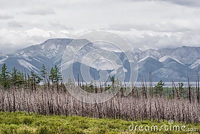 Forest and mountains at Lake Khuvsgu Stock Photo