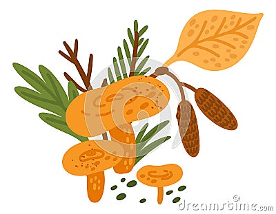 Forest mushroom. Chanterelles and leaves. Raw woodland food. Edible fungus. Birch and conifer foliage. Yellow fungi Vector Illustration