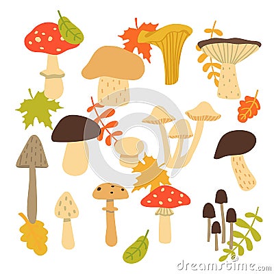 Forest mushroom collection. Set of items isolated on white background. Vector illustration Cartoon Illustration