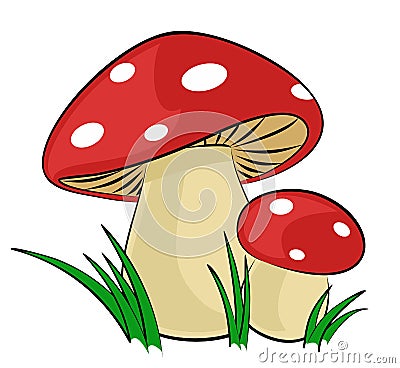 The Forest mushrooms. Vector Illustration