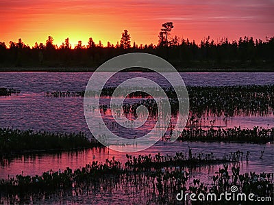 The forest and the Nadym river at sunset. The landscape of the N Stock Photo