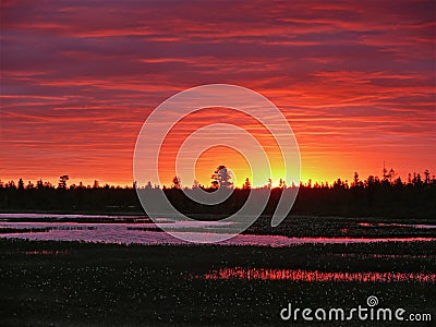 The forest and the Nadym river at sunset. The landscape of the N Stock Photo