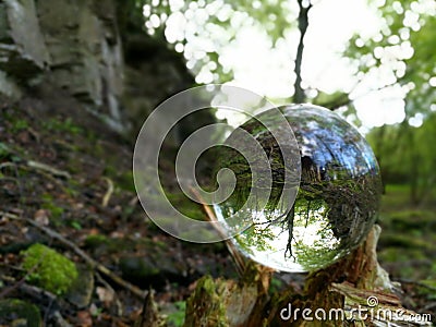 Forest near the viaduct of old stones Stock Photo