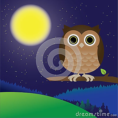 Forest night Owl Vector Illustration