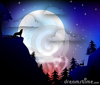 Forest night scene Stock Photo