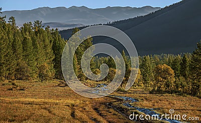 Forest of North Mongolia in Autumn Stock Photo