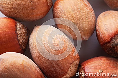 Forest nuts hazelnuts. Hazelnut background, healty food Stock Photo