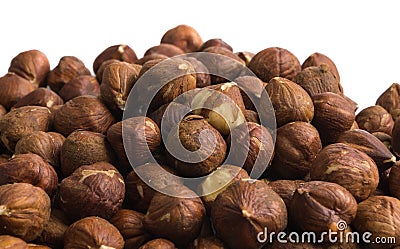 Forest nuts Stock Photo