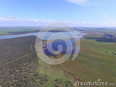 Forest in Pampas, Argentina Stock Photo