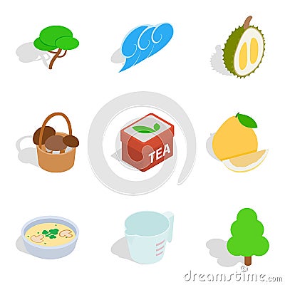 Forest park zone icons set, isometric style Vector Illustration
