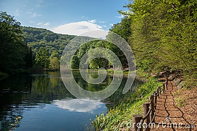 Forest path by the Jankovac lake in forest park Jankovac, Nature Stock Photo