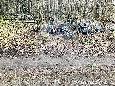 Forest pollution, garbage left in forest Stock Photo