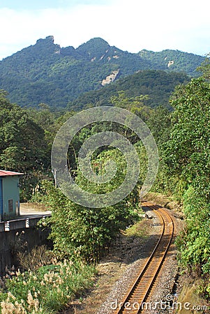 Forest railway. Stock Photo