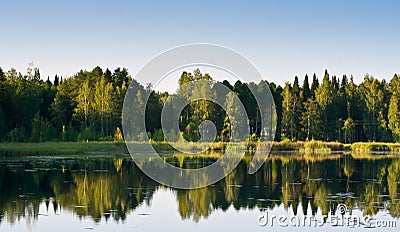 Forest reflecting on lake Stock Photo