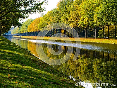 Forest reflecting on river Stock Photo