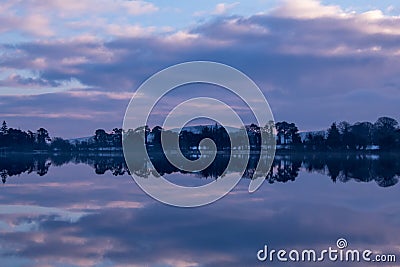 Forest Reflection on Vartry Lake in the Winter Stock Photo