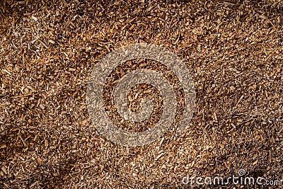 Forest residues mulched as wood chips used for heating. Pile of wood chip particles for biomass boiler, above view Stock Photo