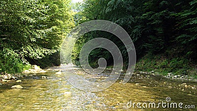 Forest river in Hyrcanian forests of Iran Stock Photo