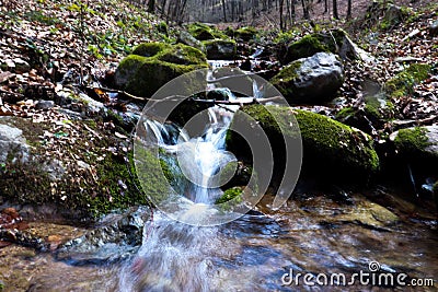 Forest river in Romanian mountains Stock Photo