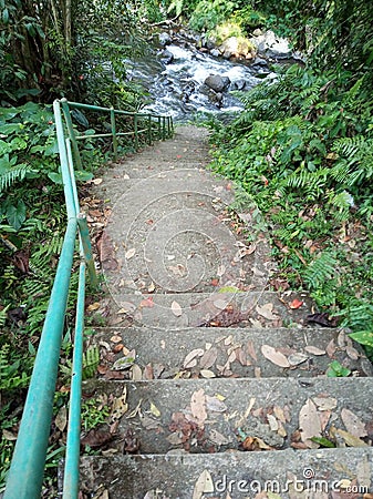 Forest river stairs in perspective. Outdoor stairs with iron fence and autumn leaves background. Stairs to climb around nature Stock Photo