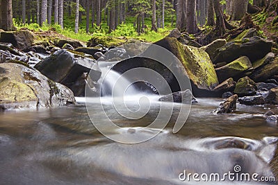 Forest river stream water slowly flow. Stock Photo
