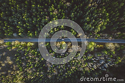 Forest Road with a car drone view Stock Photo