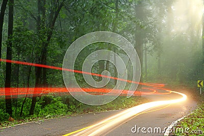 Forest road in early foggy morning with visible sun rays Stock Photo