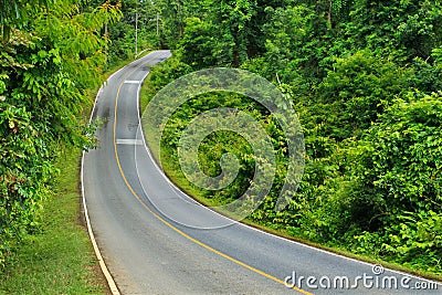 Forest road at Khaoyai National Park Stock Photo