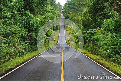 Forest road at Khaoyai National Park, Thailand Stock Photo