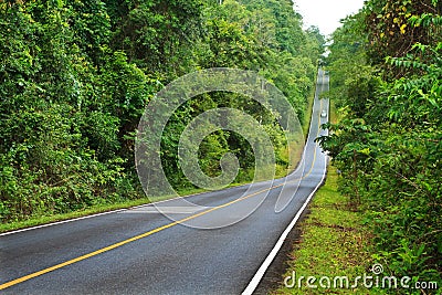 Forest road at Khaoyai National Park, Thailand Stock Photo