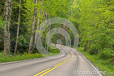 Forest road on a sunny summer day. Finland, Lahti Stock Photo