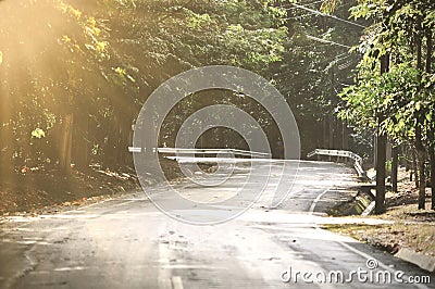 Forest Road Under Sunset Sunbeams. Lane Running Through The Autumn Deciduous Forest Stock Photo