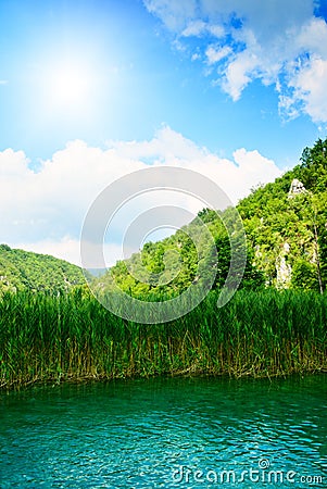 Forest rock and lake Stock Photo