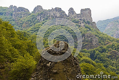 Forest and rock in Syunik province Armenia Stock Photo