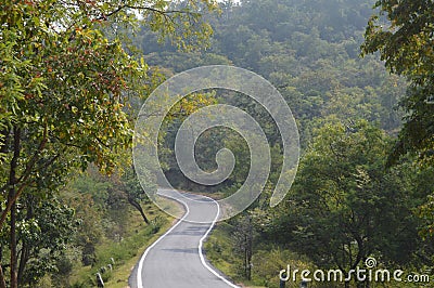 Forest route in karnataka Stock Photo