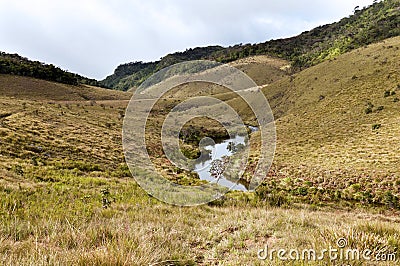 Forest, savanna, and water at Horton Plains Stock Photo